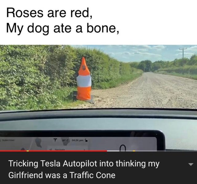 asphalt - Roses are red, My dog ate a bone, T 1C0424 pm Tricking Tesla Autopilot into thinking my Girlfriend was a Traffic Cone