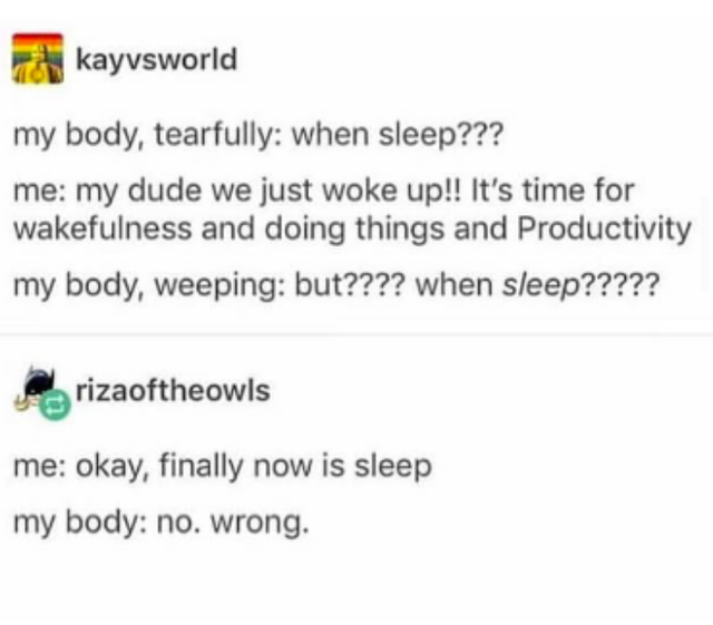 diagram - kayvsworld my body, tearfully when sleep??? me my dude we just woke up!! It's time for wakefulness and doing things and Productivity my body, weeping but???? when sleep????? rizaoftheowls me okay, finally now is sleep my body no. wrong.