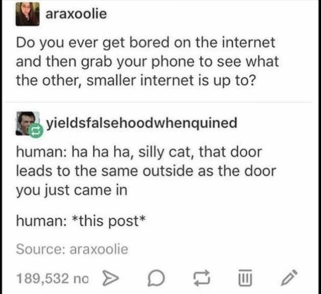 document - araxoolie Do you ever get bored on the internet and then grab your phone to see what the other, smaller internet is up to? yieldsfalsehoodwhenquined human ha ha ha, silly cat, that door leads to the same outside as the door you just came in hum