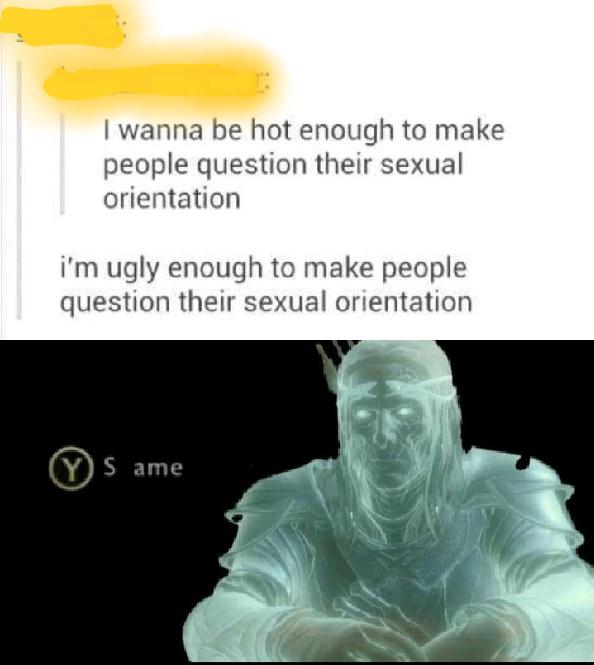 halo 2 legendary memes - I wanna be hot enough to make people question their sexual orientation i'm ugly enough to make people question their sexual orientation Y s ame