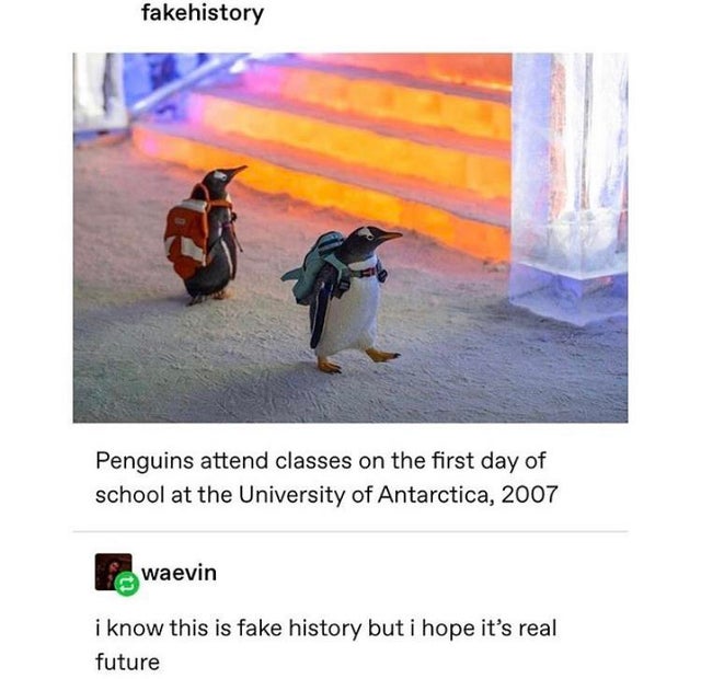 penguins first day of school - fakehistory Penguins attend classes on the first day of school at the University of Antarctica, 2007 waevin i know this is fake history but i hope it's real future