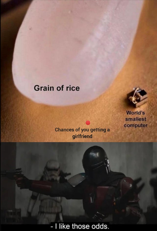 Grain of rice World's smallest computer Chances of you getting a girlfriend I those odds.