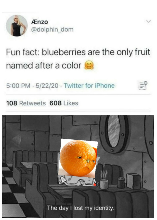 remember when a series of unfortunate events - nzo Fun fact blueberries are the only fruit named after a color 52220 Twitter for iPhone In 0. 108 608 o O The day I lost my identity.