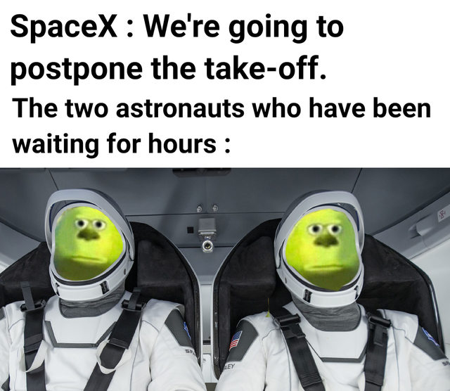Douglas G. Hurley - SpaceX We're going to postpone the takeoff. The two astronauts who have been waiting for hours Aey