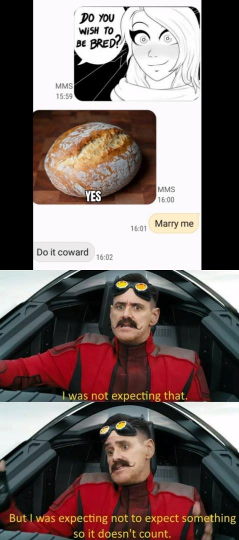 jim carrey sonic meme - Do You Wish To Be Bred? Mms Yes Mms Marry me Do it coward I was not expecting that. But I was expecting not to expect something so it doesn't count.