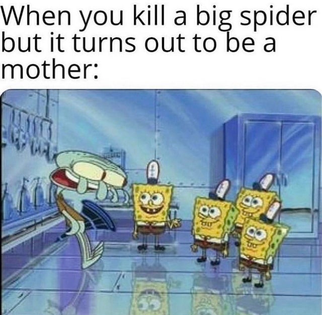 scared spongebob meme - When you kill a big spider but it turns out to be a mother