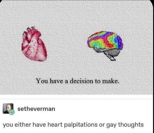 seth everman gay - You have a decision to make. setheverman you either have heart palpitations or gay thoughts