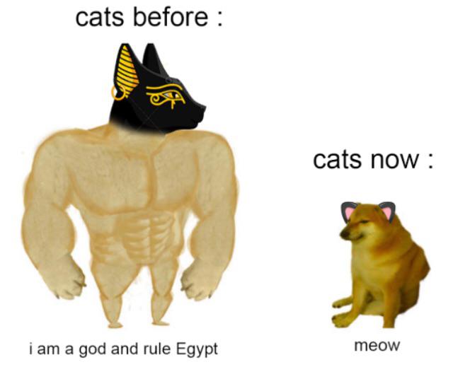 doge vs cheems - cats before cats now i am a god and rule Egypt meow