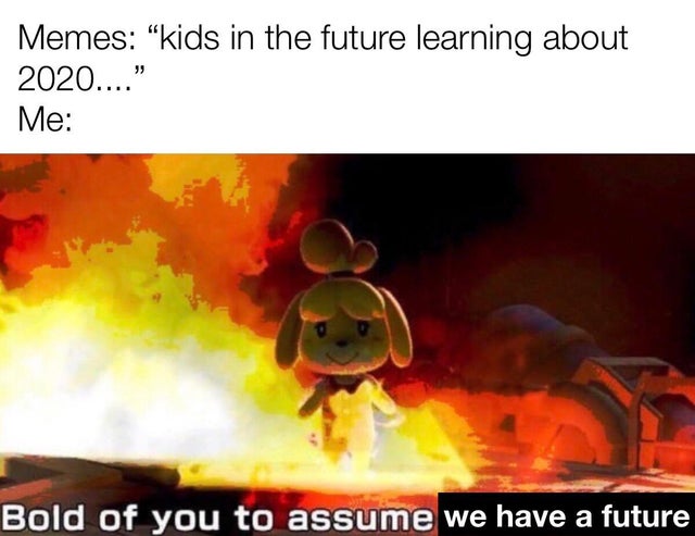 isabelle terrifying - Memes kids in the future learning about 2020.... Me Bold of you to assume we have a future
