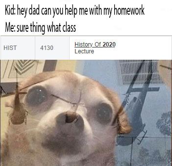 flashbacks meme - Kid hey dad can you help me with my homework Me sure thing what class Hist 4130 History Of 2020 Lecture