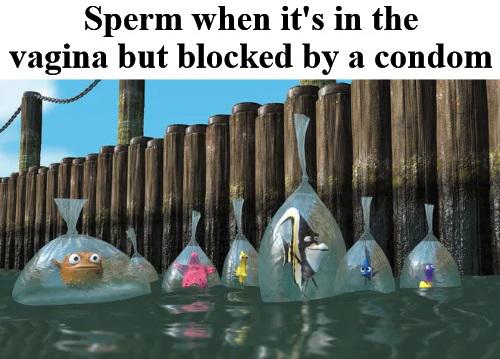 finding nemo fish in bags - Sperm when it's in the vagina but blocked by a condom