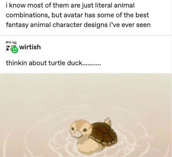 cartoon - i know most of them are just literal animal combinations, but avatar has some of the best fantasy animal character designs i've ever seen wirtish thinkin about turtle duck.........