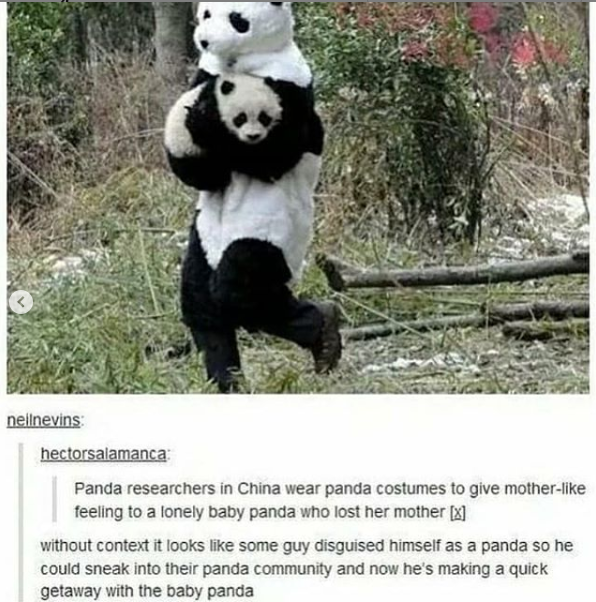 baby panda memes - nellnevins hectorsalamanca Panda researchers in China wear panda costumes to give mother feeling to a lonely baby panda who lost her mother x without context it looks some guy disguised himself as a panda so he could sneak into their pa