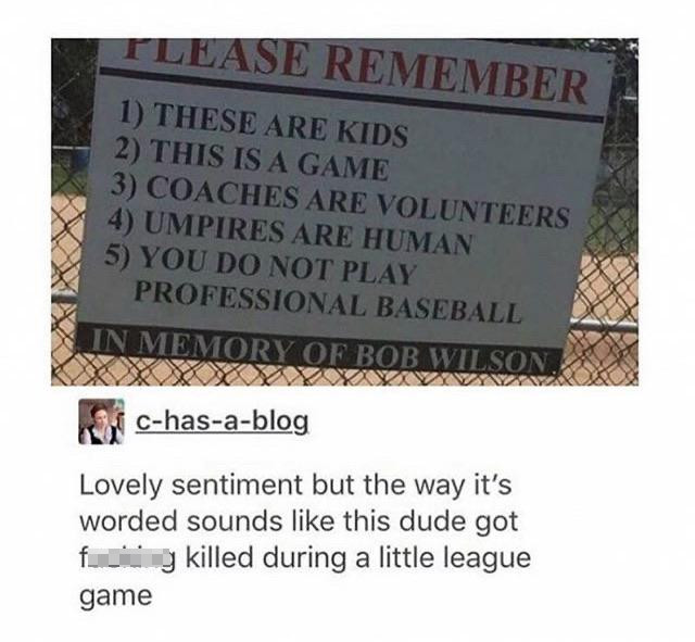 commemorative plaque - Lease Remember 1 These Are Kids 2 This Is A Game 3 Coaches Are Volunteers 4 Umpires Are Human 5 You Do Not Play Professional Baseball In Memory Of Bob Wilson, Chasablog Lovely sentiment but the way it's worded sounds this dude got f