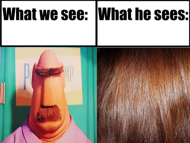 hair coloring - What we see What he sees