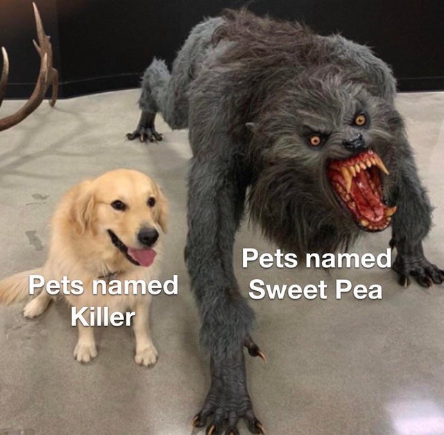 king ghidorah meme - Pets named Killer Pets named Sweet Pea