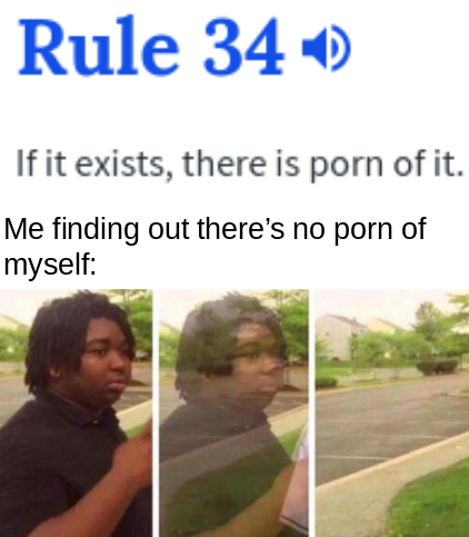 country memes - Rule 340 If it exists, there is porn of it. Me finding out there's no porn of myself