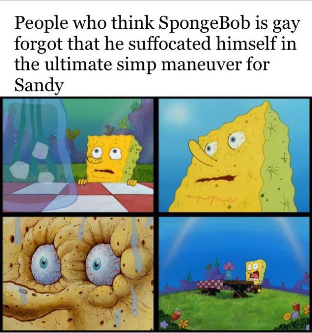 need spongebob meme - People who think SpongeBob is gay forgot that he suffocated himself in the ultimate simp maneuver for Sandy 00