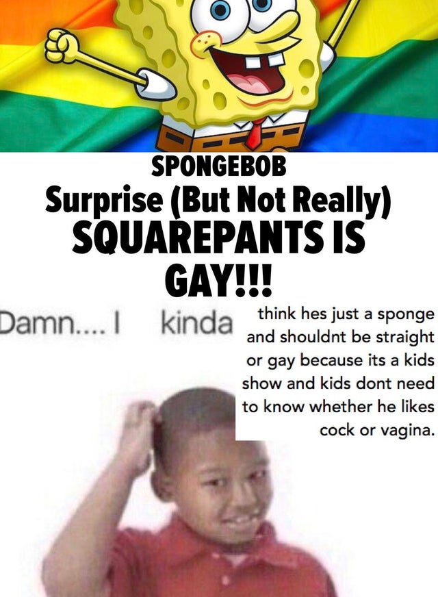 dont care did i ask meme - Spongebob Surprise But Not Really Squarepants Is Gay!!! Damn....I kinda think hes just a sponge and shouldnt be straight or gay because its a kids show and kids dont need to know whether he cock or vagina.