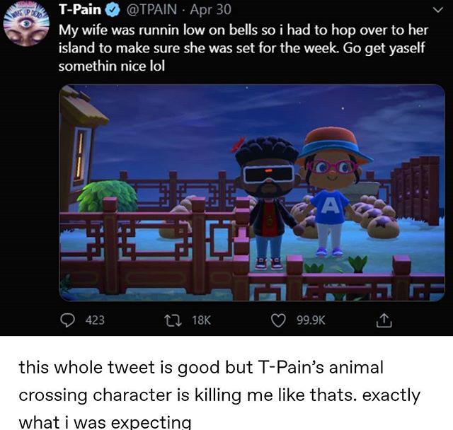 t pain animal crossing - Srove Per TPain TPain Apr 30 My wife was runnin low on bells so i had to hop over to her island to make sure she was set for the week. Go get yaself somethin nice lol A 423 this whole tweet is good but TPain's animal crossing char