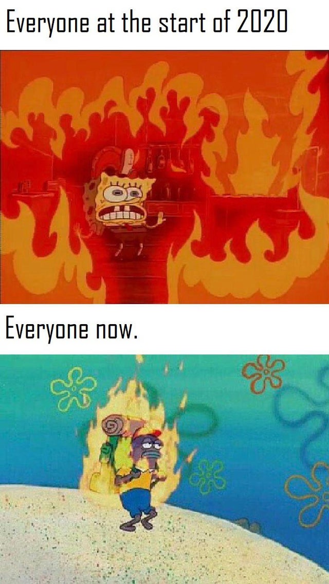 spongebob on fire - Everyone at the start of 2020 2 Everyone now.