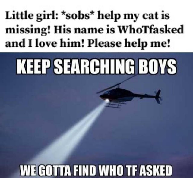 aerospace engineering - Little girl sobs help my cat is missing! His name is WhoTfasked and I love him! Please help me! Keep Searching Boys We Gotta Find Who Tf Asked