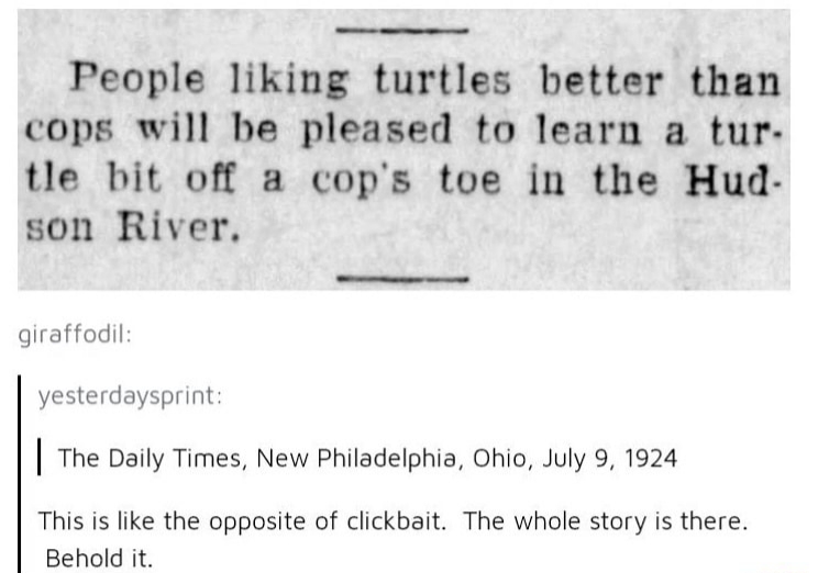 handwriting - People liking turtles better than cops will be pleased to learn a tur. tle bit off a cop's toe in the Hud. son River. giraffodil yesterdaysprint | The Daily Times, New Philadelphia, Ohio, This is the opposite of clickbait. The whole story is