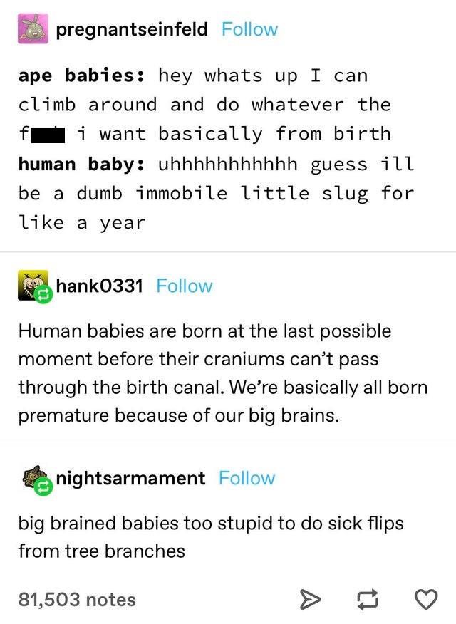 document - pregnantseinfeld ape babies hey whats up I can climb around and do whatever the f i want basically from birth human baby uhhhhhhhhhhh guess ill be a dumb immobile little slug for a year hank0331 Human babies are born at the last possible moment