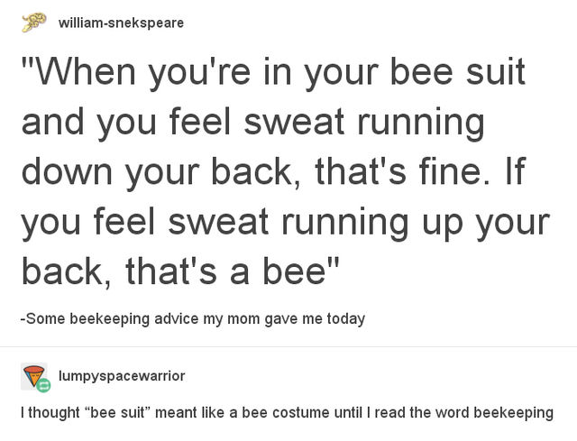 bee suit - williamsnekspeare When you're in your bee suit and you feel sweat running down your back, that's fine. If you feel sweat running up your back, that's a bee Some beekeeping advice my mom gave me today lumpyspacewarrior I thought bee suit meant a