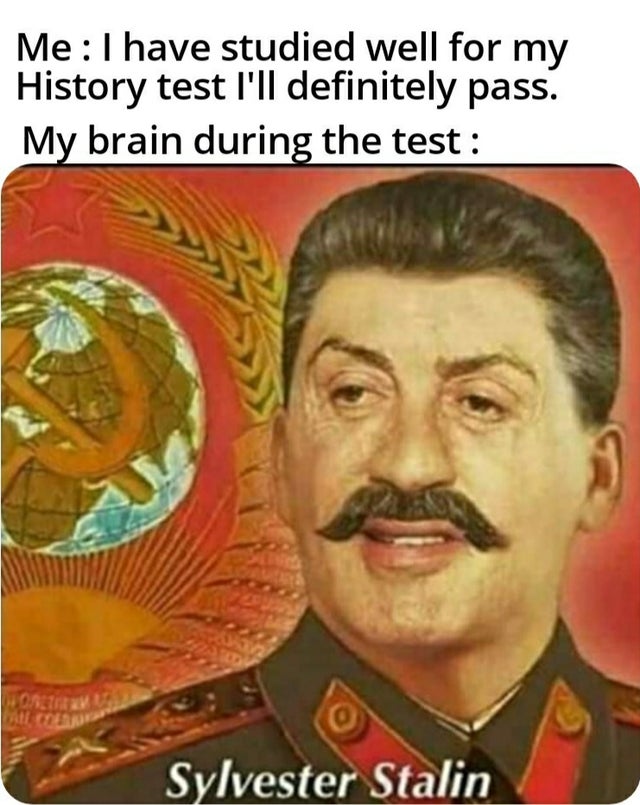 sylvester stallin - Me I have studied well for my History test I'll definitely pass. My brain during the test More Sylvester Stalin
