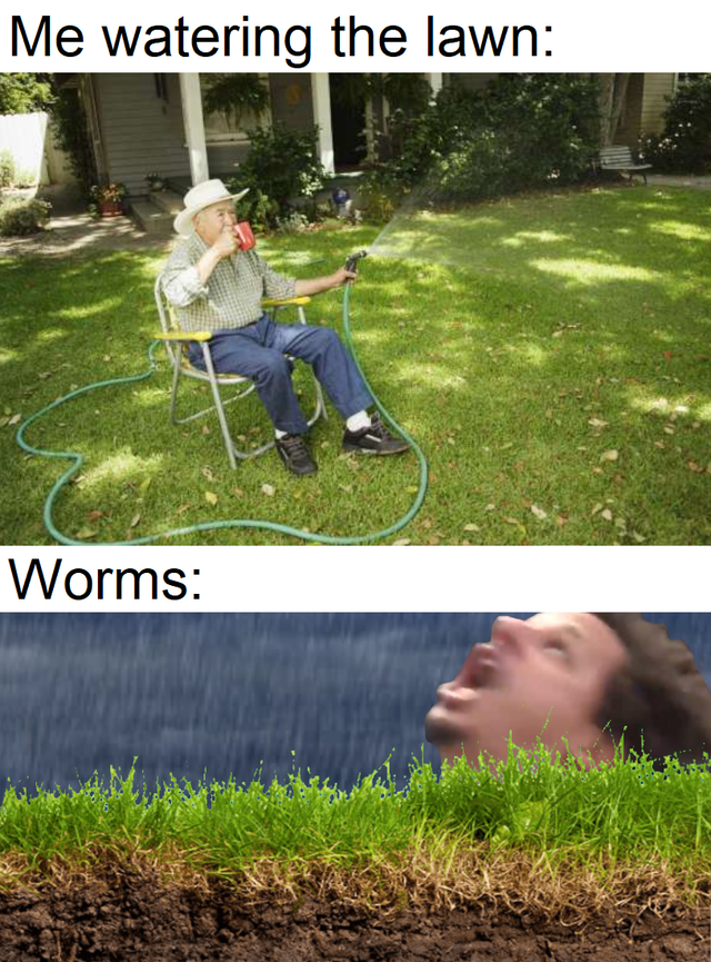 Internet meme - Me watering the lawn Worms