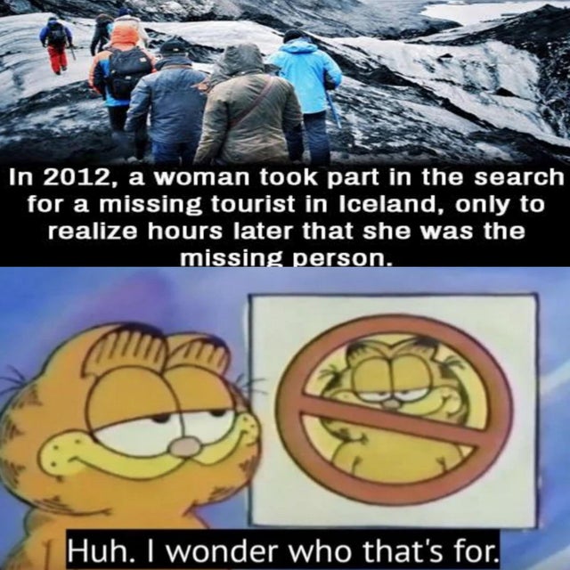 garfield meme - In 2012, a woman took part in the search for a missing tourist in Iceland, only to realize hours later that she was the missing person. Huh. I wonder who that's for.