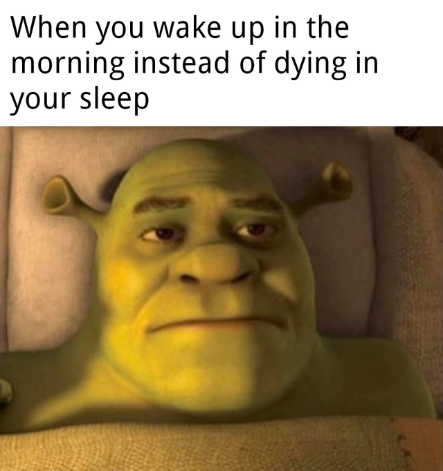 shrek forever after - When you wake up in the morning instead of dying in your sleep