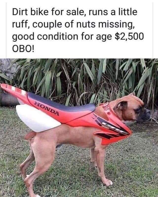 funny dirt bikes - Dirt bike for sale, runs a little ruff, couple of nuts missing, good condition for age $2,500 Obo! Honda