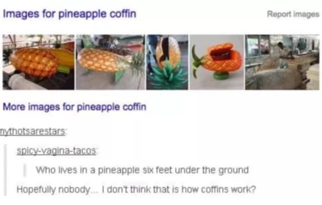 pineapple coffin - Images for pineapple coffin Report images More images for pineapple coffin nythotsarestars spicyvaginatacos Who lives in a pineapple six feet under the ground Hopefully nobody... I don't think that is how coffins work?