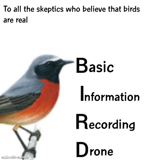 fauna - To all the skeptics who believe that birds are real Basic rmation Inform Recording Drone made with mematic