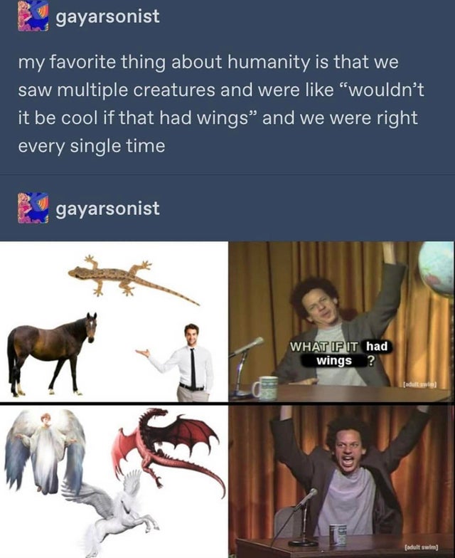 power series meme - gayarsonist my favorite thing about humanity is that we saw multiple creatures and were wouldn't it be cool if that had wings and we were right every single time gayarsonist What If It had wings? adult T adult swim