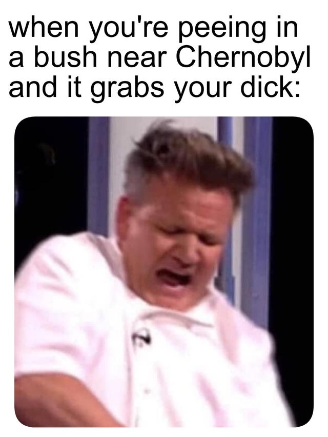 gordon ramsay meme template - when you're peeing in a bush near Chernobyl and it grabs your dick