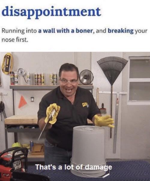 thats a lot of damage meme - disappointment Running into a wall with a boner, and breaking your nose first That's a lot of damage