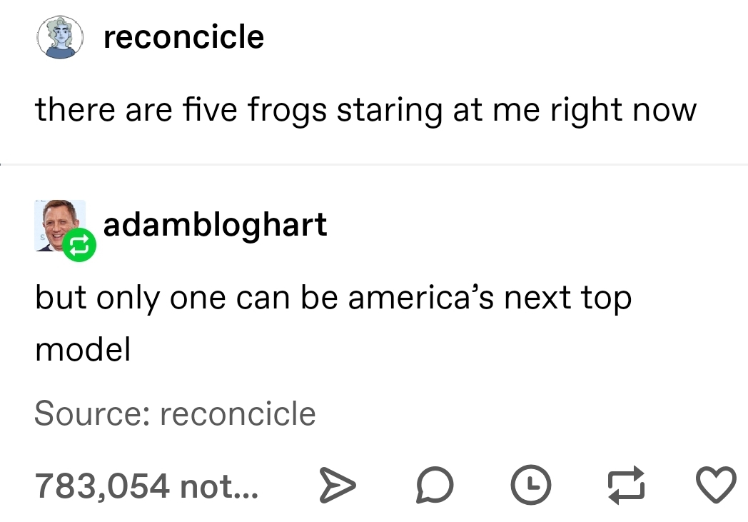 creative funny tumblr posts - reconcicle there are five frogs staring at me right now adambloghart but only one can be america's next top model Source reconcicle 783,054 not... D 17