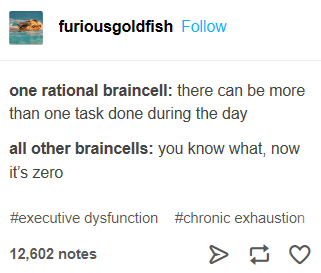 angle - furiousgoldfish one rational braincell there can be more than one task done during the day all other braincells you know what, now it's zero dysfunction exhaustion 12,602 notes