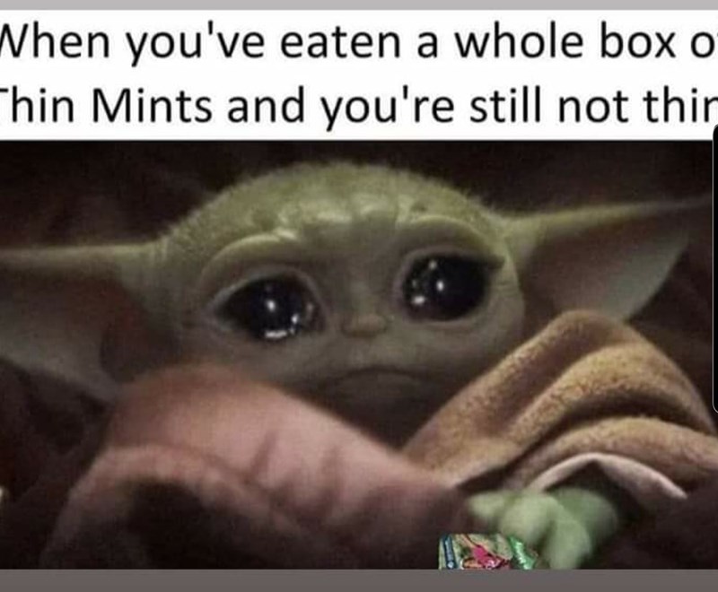 baby yoda sad meme - When you've eaten a whole box o Thin Mints and you're still not thin