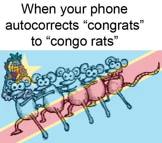 conga rats gif - When your phone autocorrects congrats to congo rats