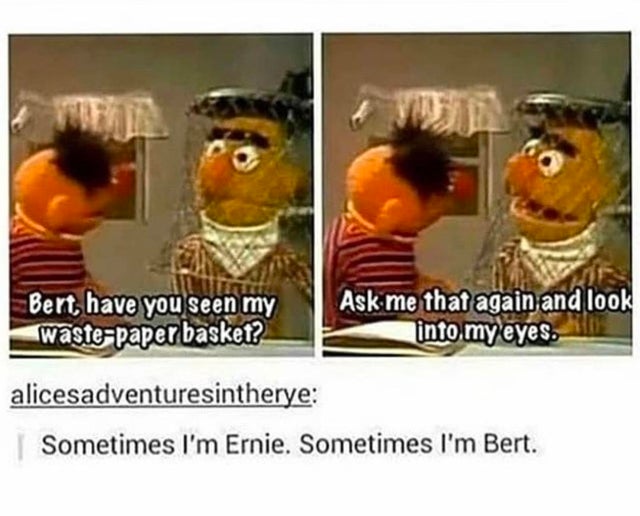 sometimes i m bert sometimes i m ernie - Bert have you seen my Ask me that again and look wastepaper basket? into my eyes. alicesadventuresintherye Sometimes I'm Ernie. Sometimes I'm Bert.