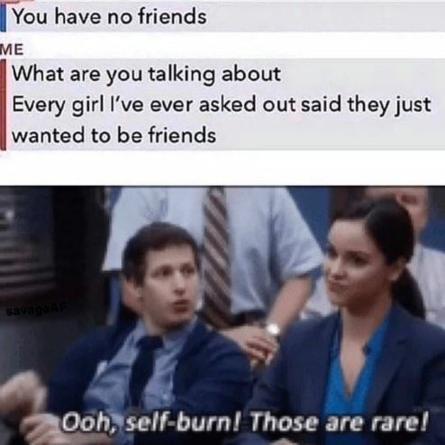 self burn those are rare - You have no friends Me What are you talking about Every girl I've ever asked out said they just wanted to be friends savage Ooh, selfburn! Those are rare!