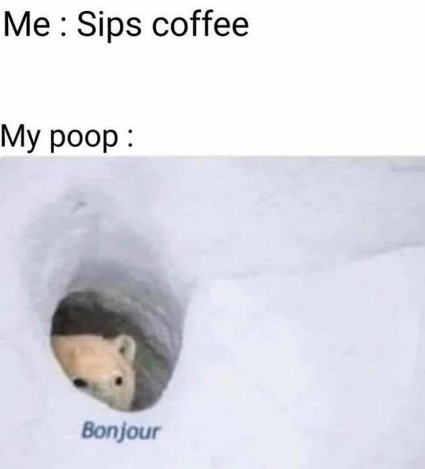 polar bear - Me Sips coffee My poop Bonjour