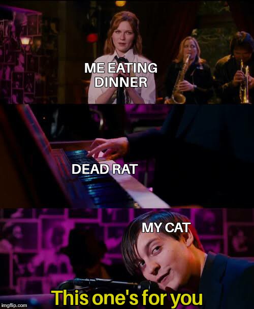 one's for you meme - Me Eating Dinner Dead Rat My Cat This one's for you imgflip.com