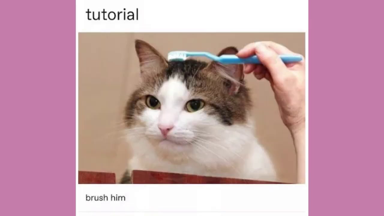 tutorial brush him - tutorial brush him