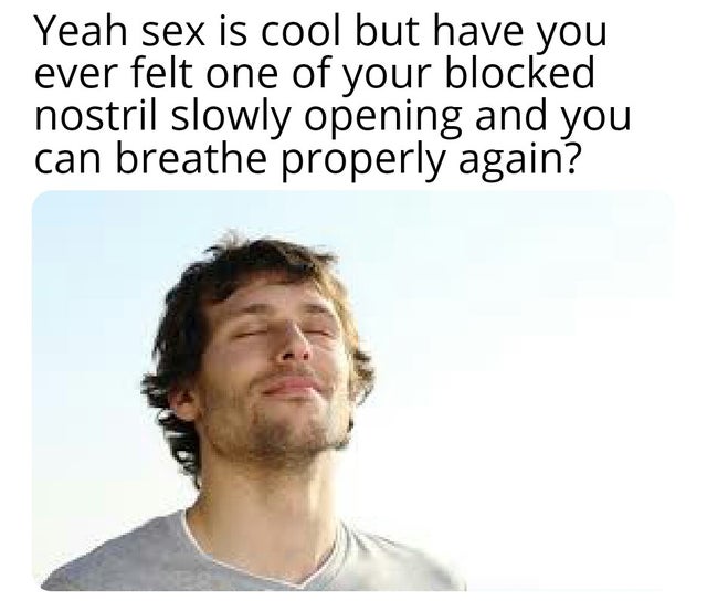 breathing ea meme - Yeah sex is cool but have you ever felt one of your blocked nostril slowly opening and you can breathe properly again?