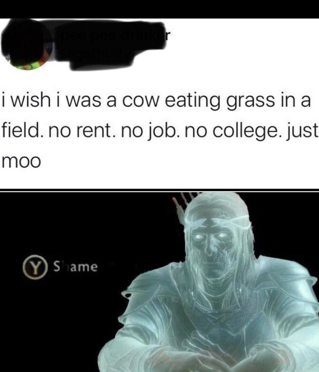 shame same meme - i wish i was a cow eating grass in a field. no rent. no job. no college.just moo Y S ame